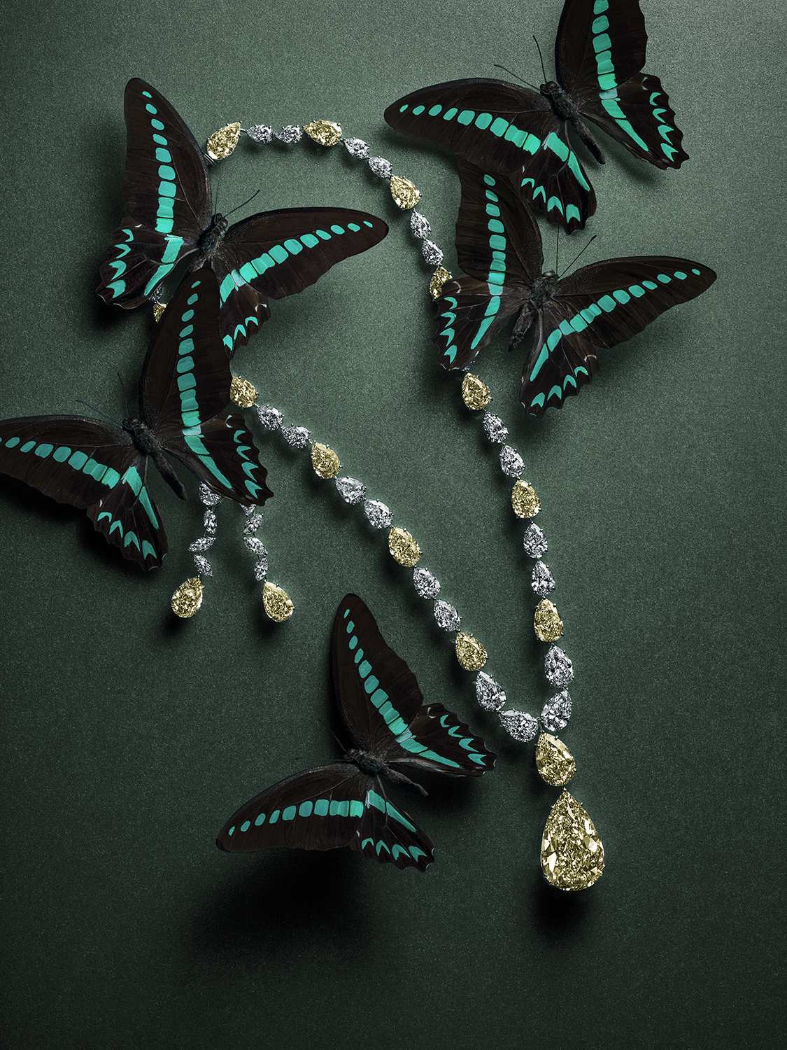 Tatler | Watches & Jewellery