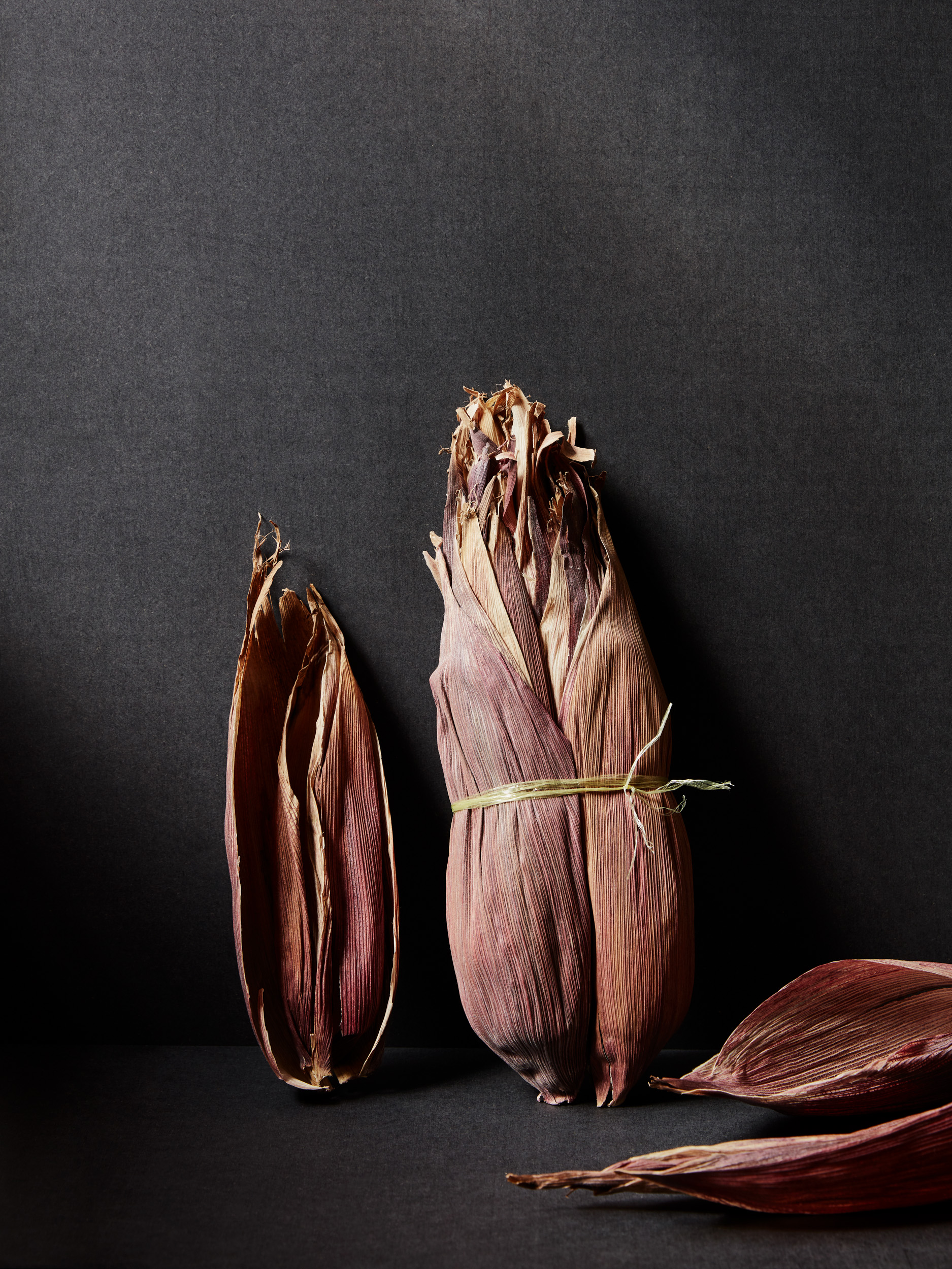 GAGGENAU | Fernando Laposse