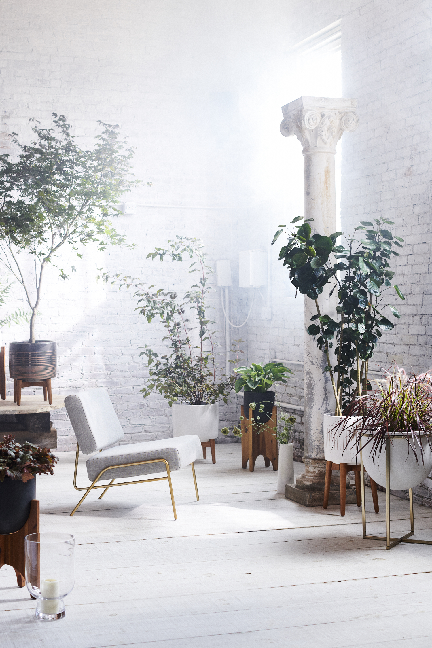 West Elm