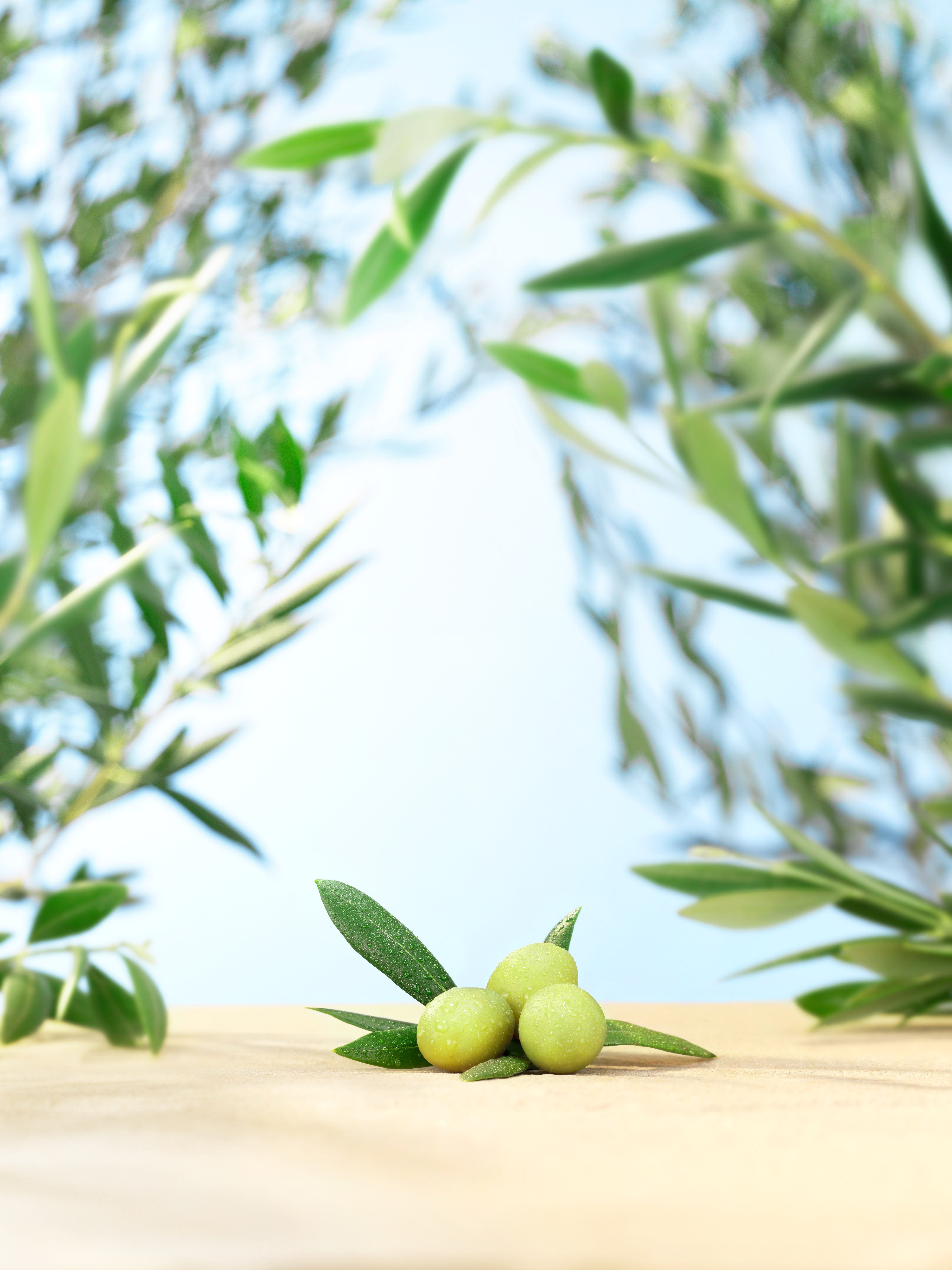 Olive | Skincare