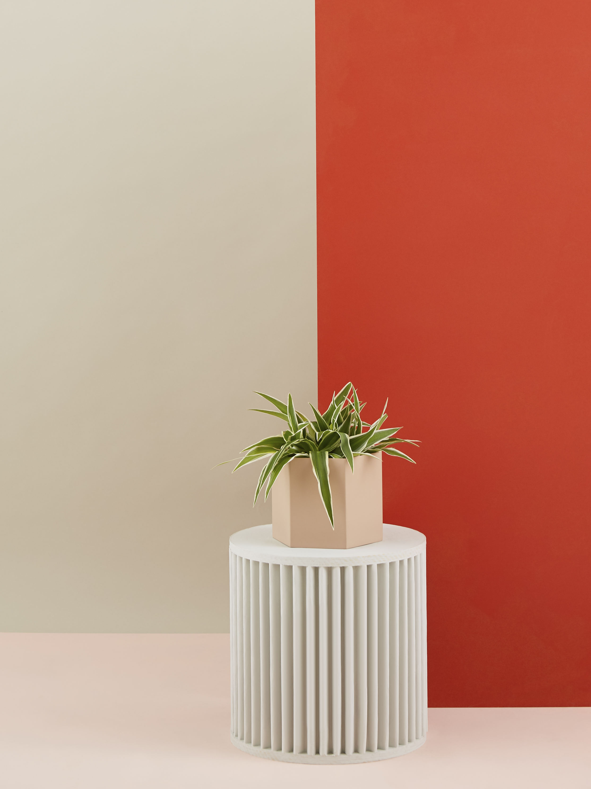 Trouva | Sale