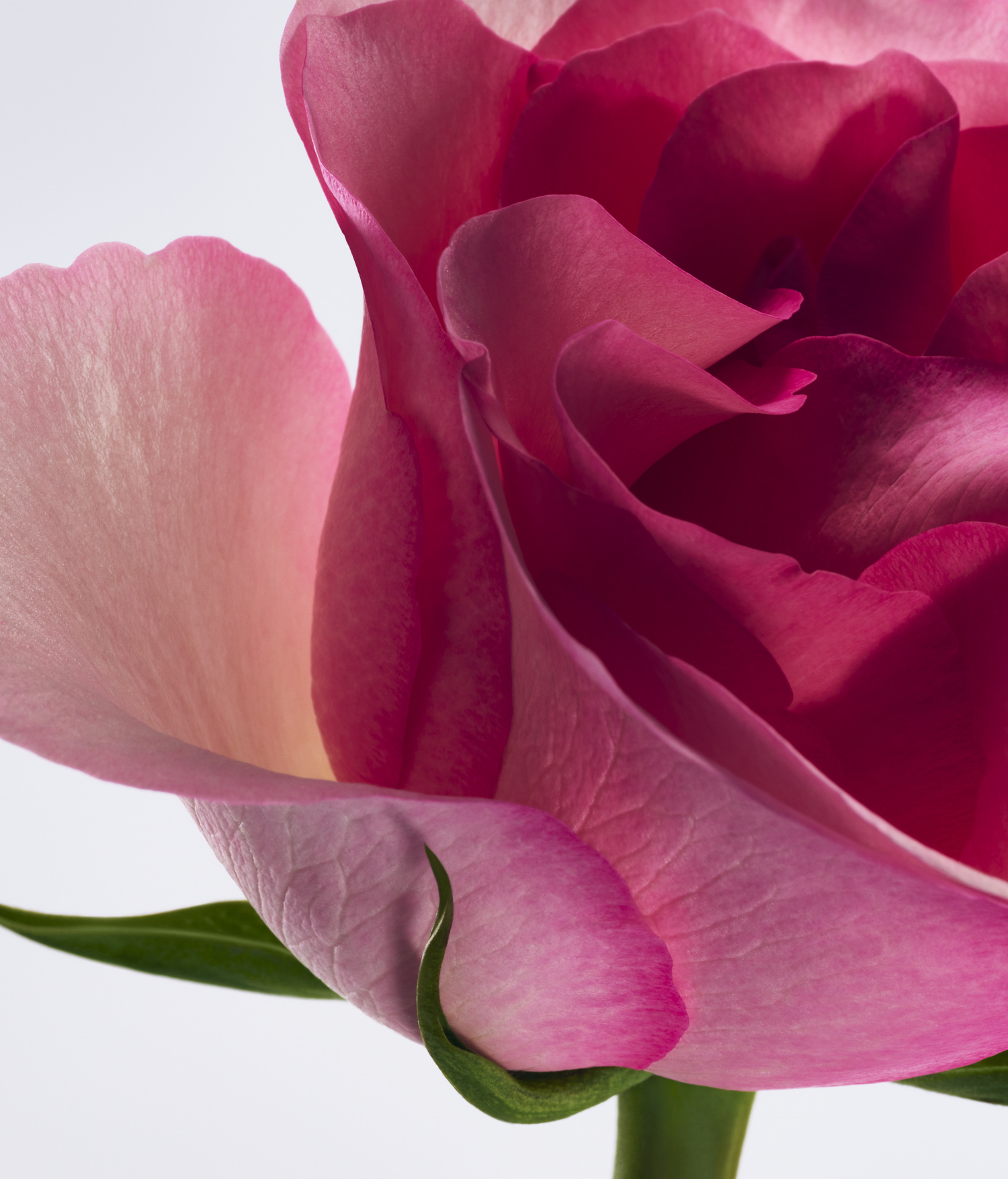 Amazing Grace | Love Philosophy