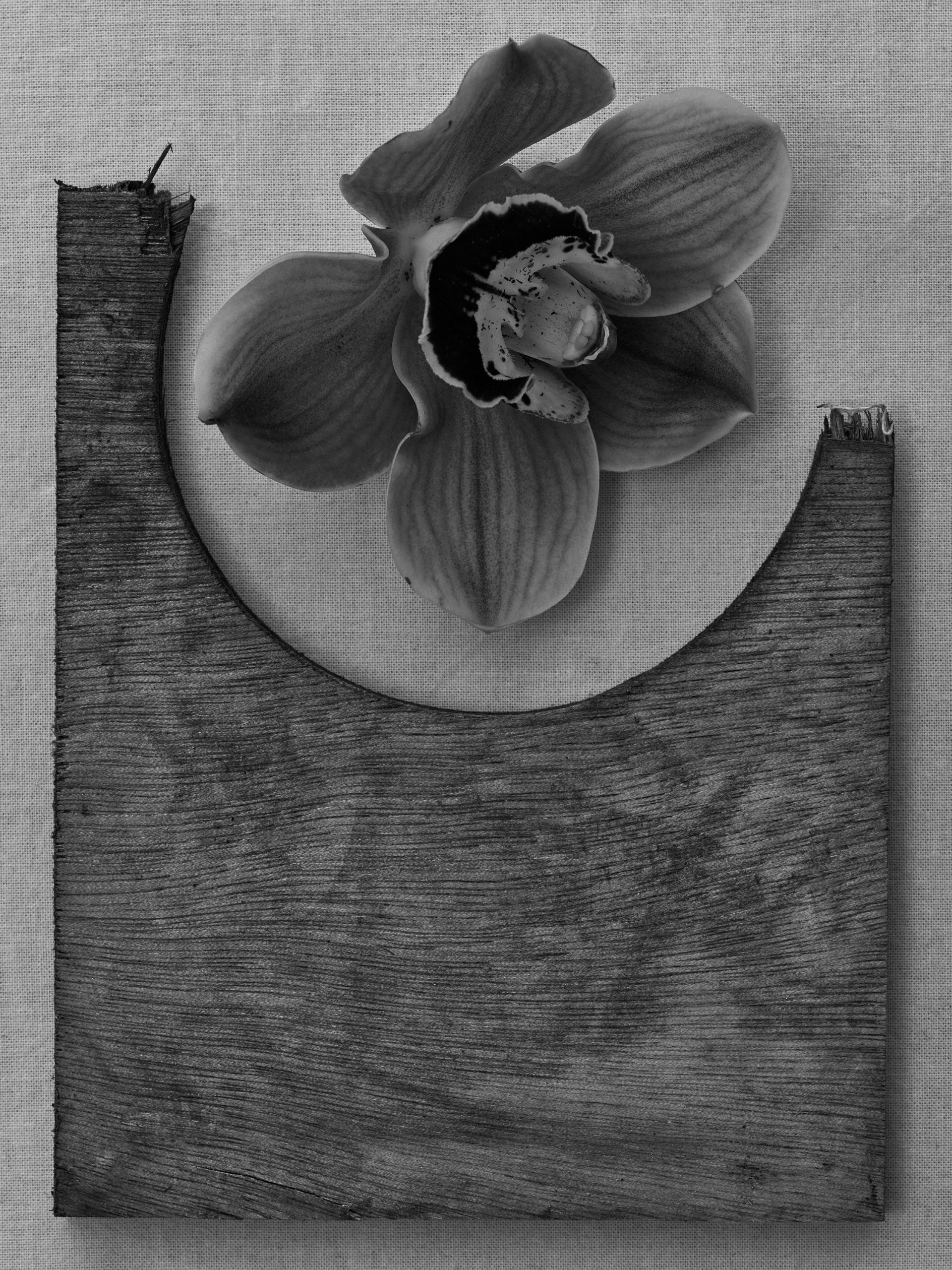 Found & Formed