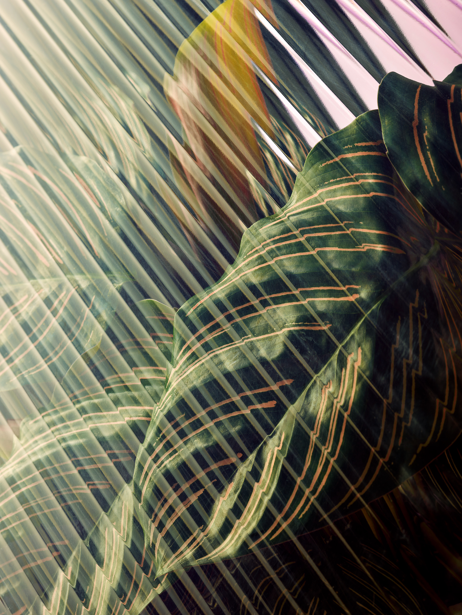 Distortion