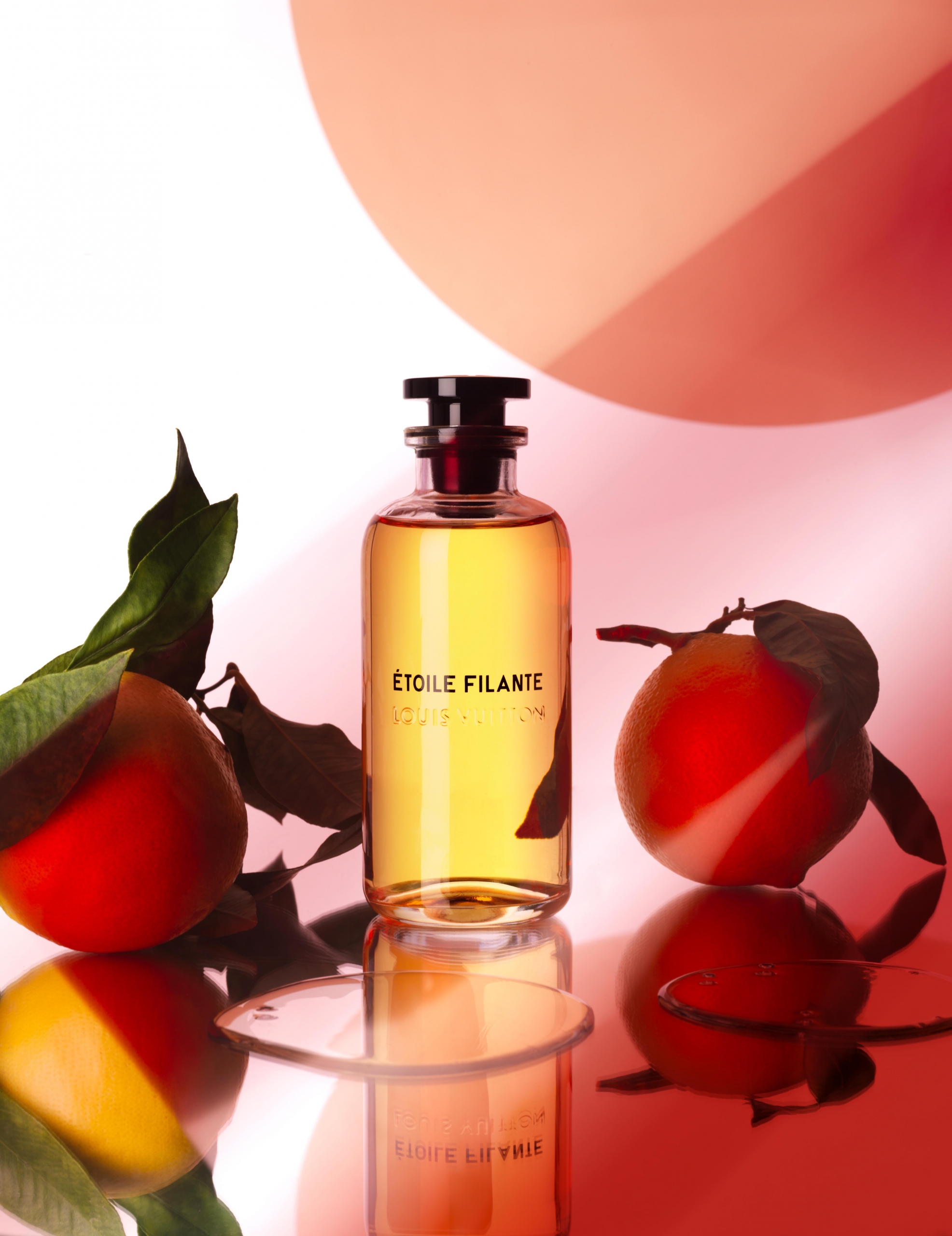 Wonderland | Fragrance