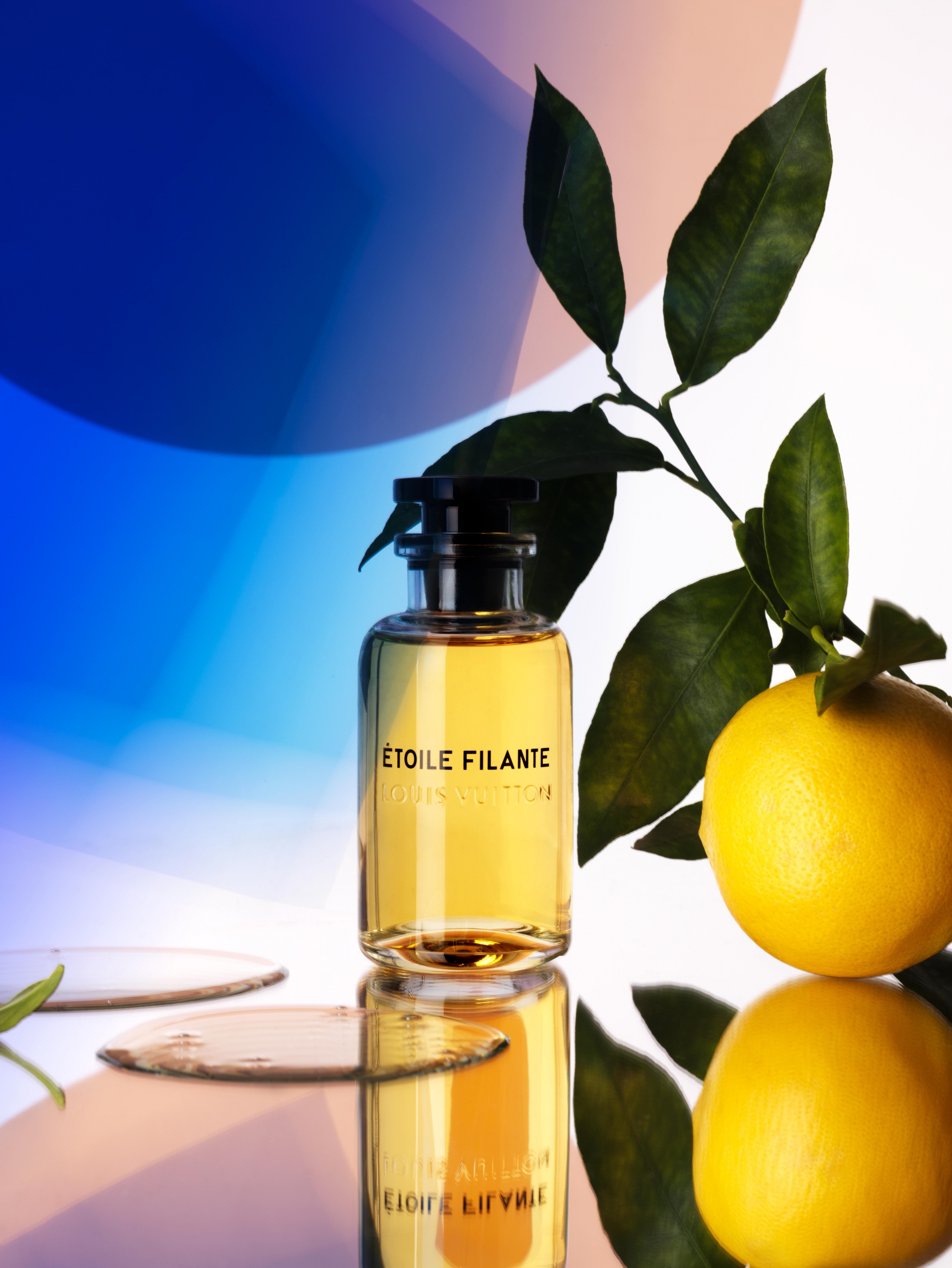 Wonderland | Fragrance