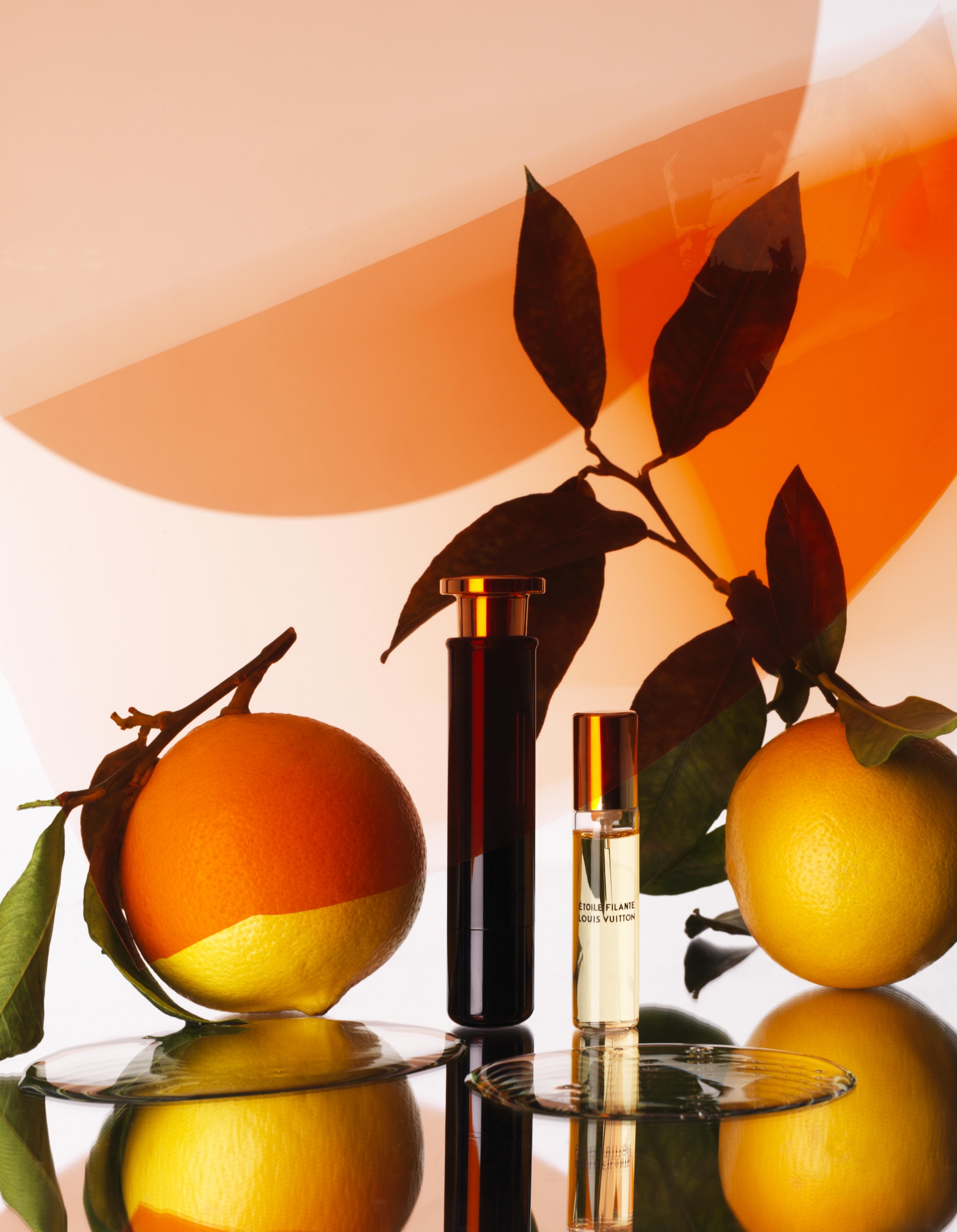 Wonderland | Fragrance