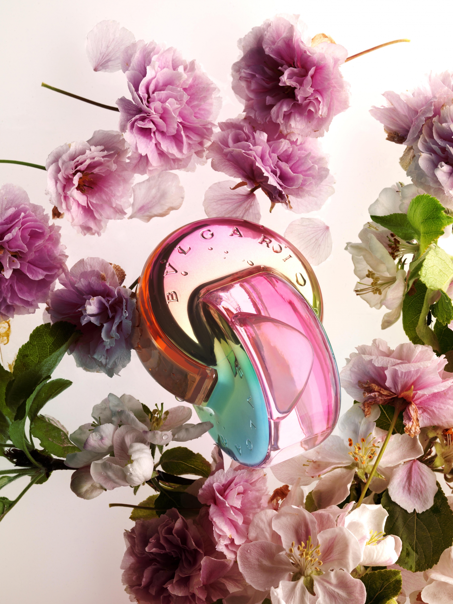 Wonderland | Bulgari