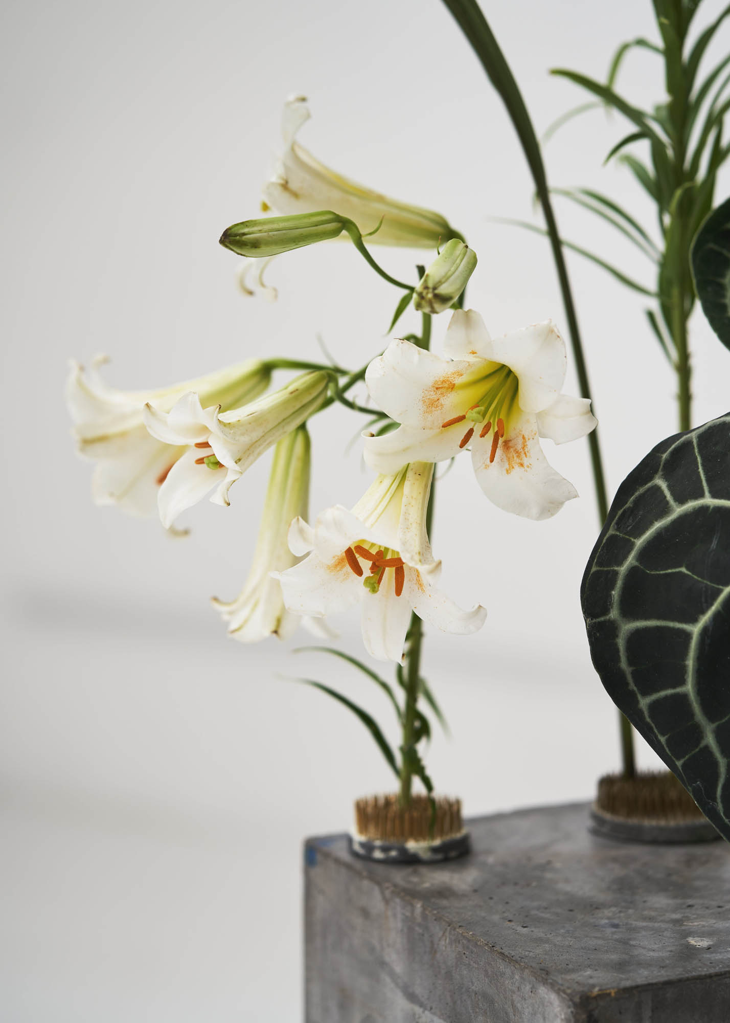 London Flower School