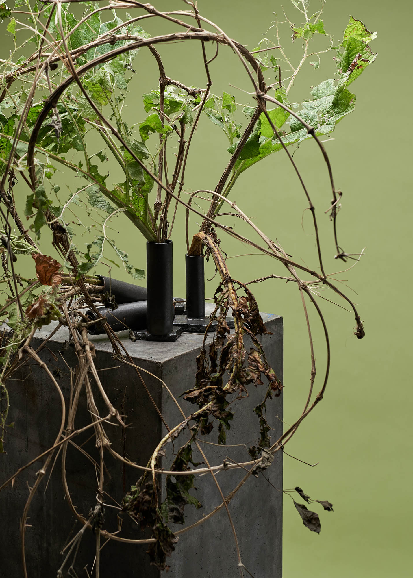 London Flower School
