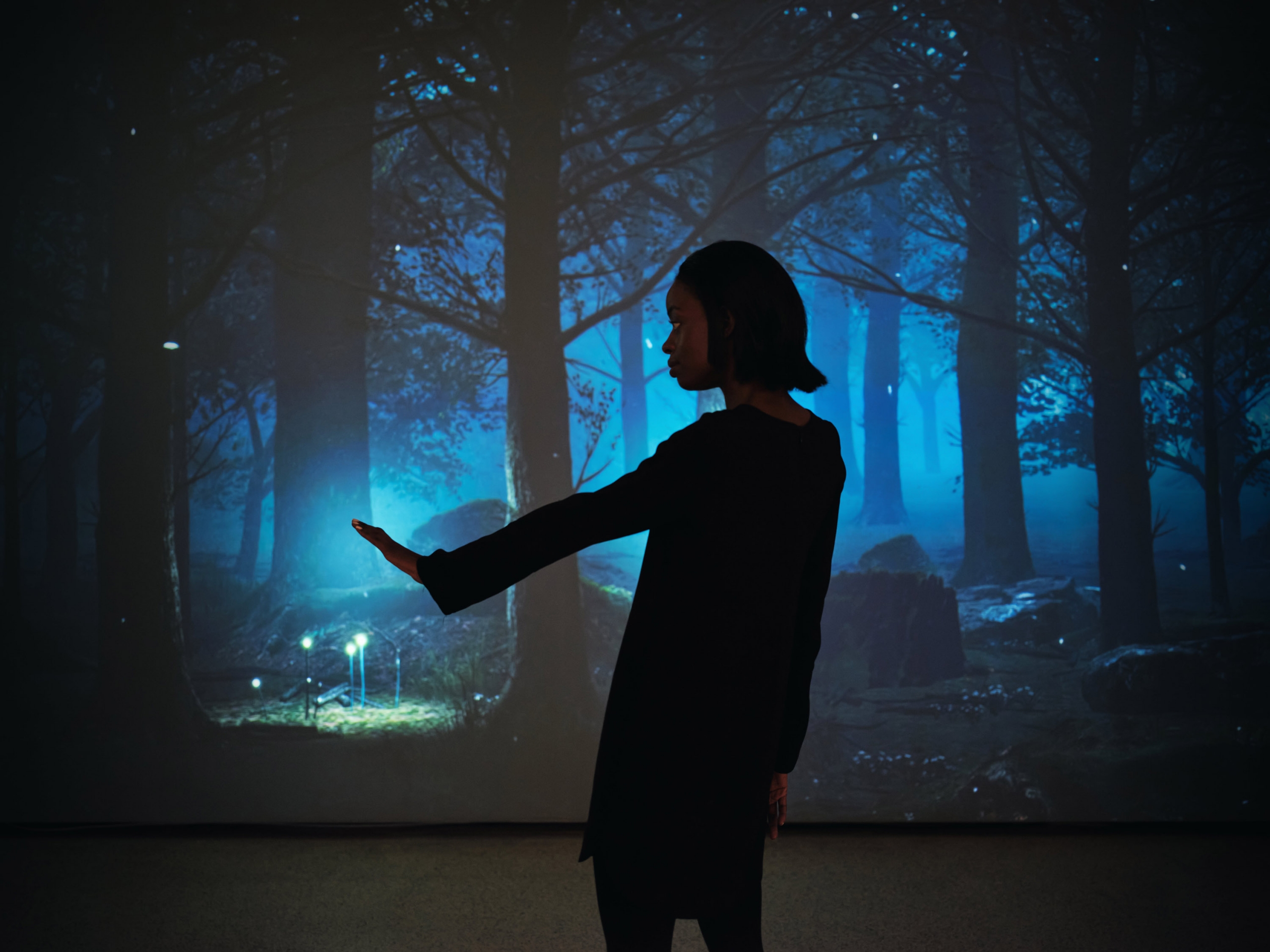 Waste Age Exhibition and Aurora Installation