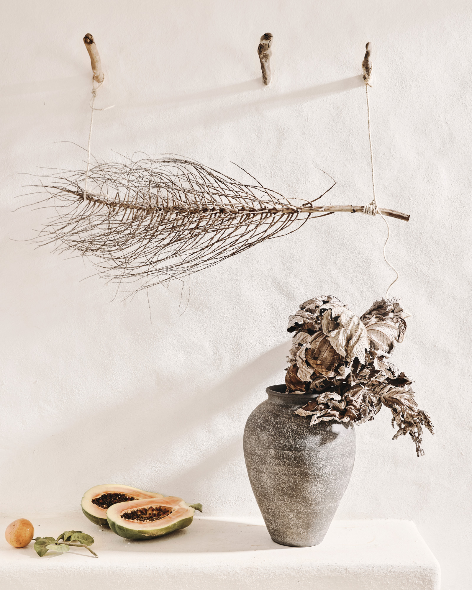 Crate & Barrel | Outdoor