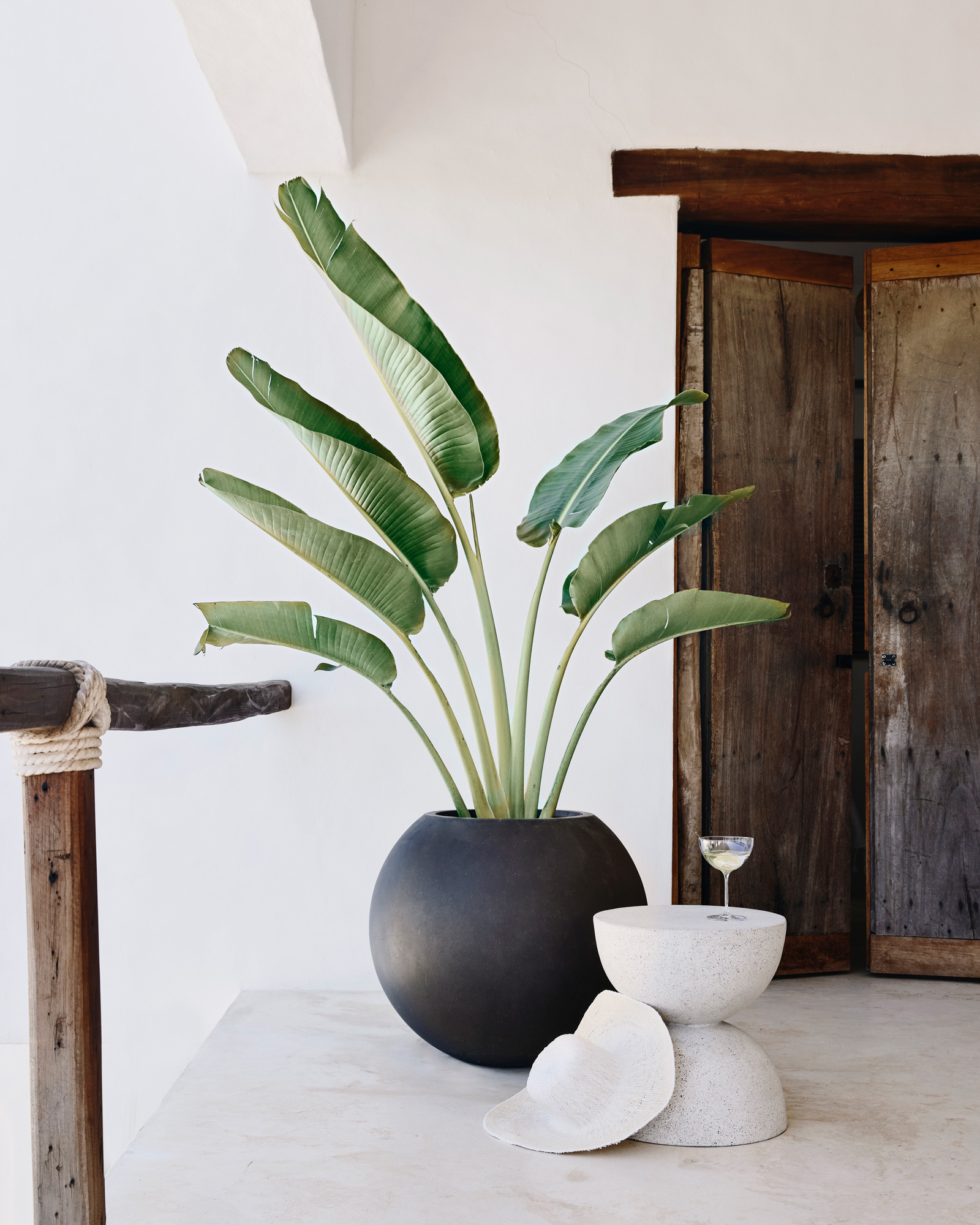 Crate & Barrel | Outdoor