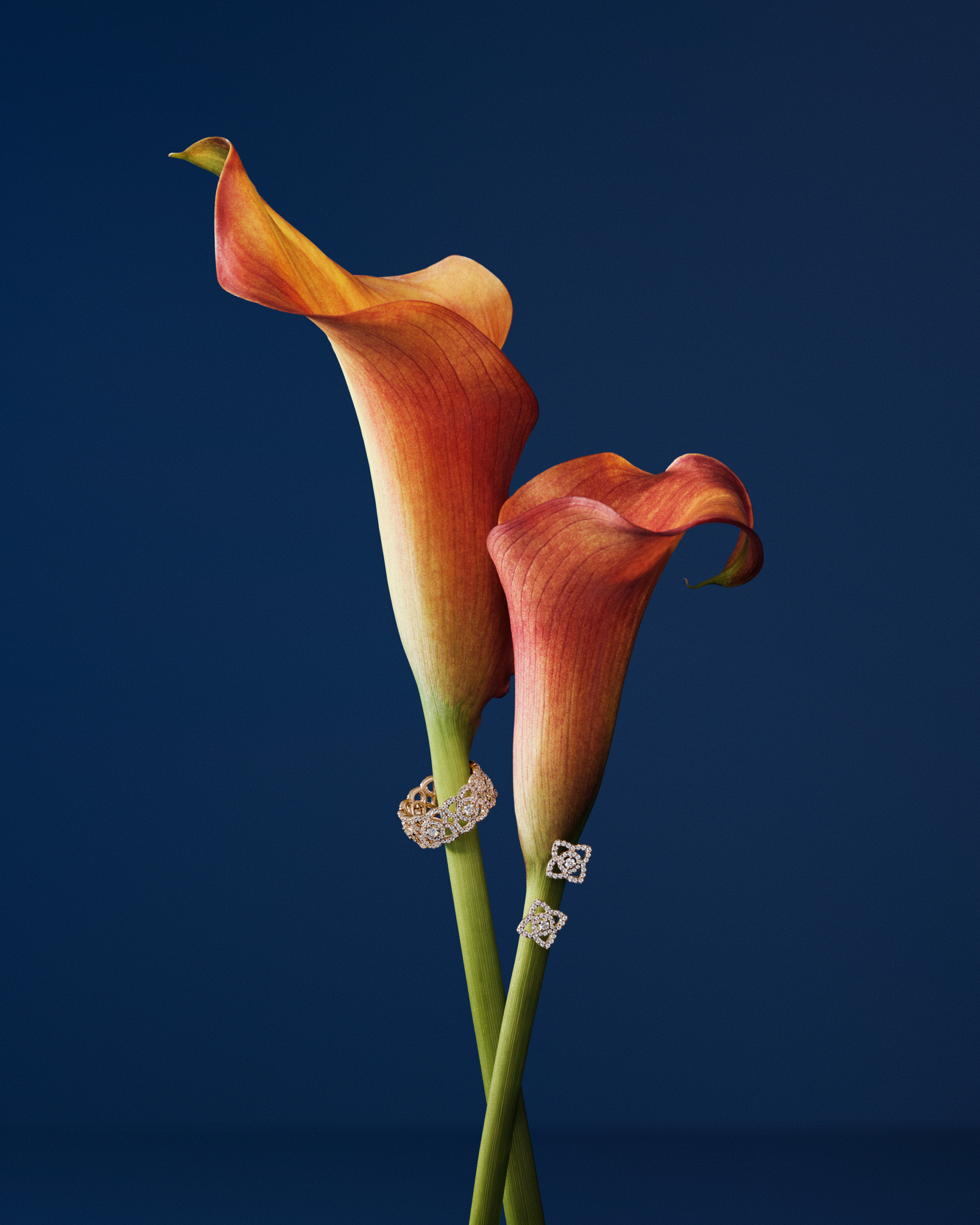 De Beers | Enchanted Lotus