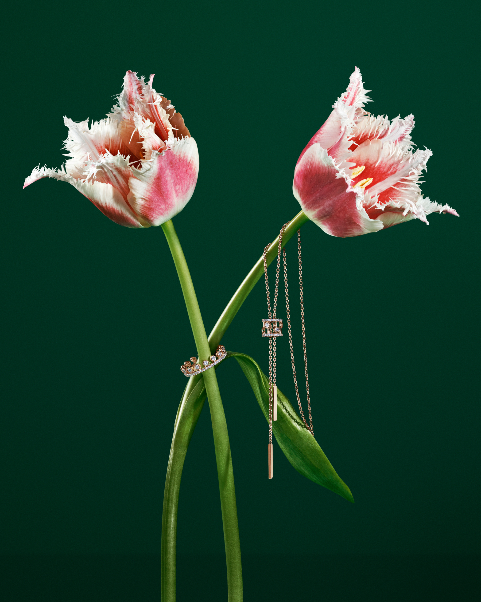 De Beers | Enchanted Lotus