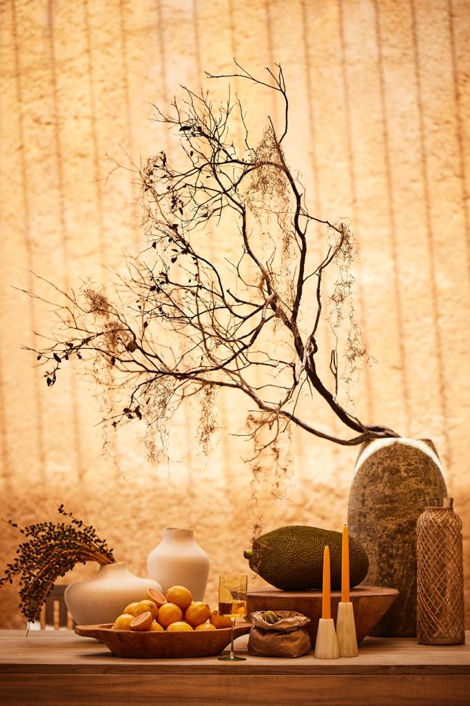Terrain | Napa