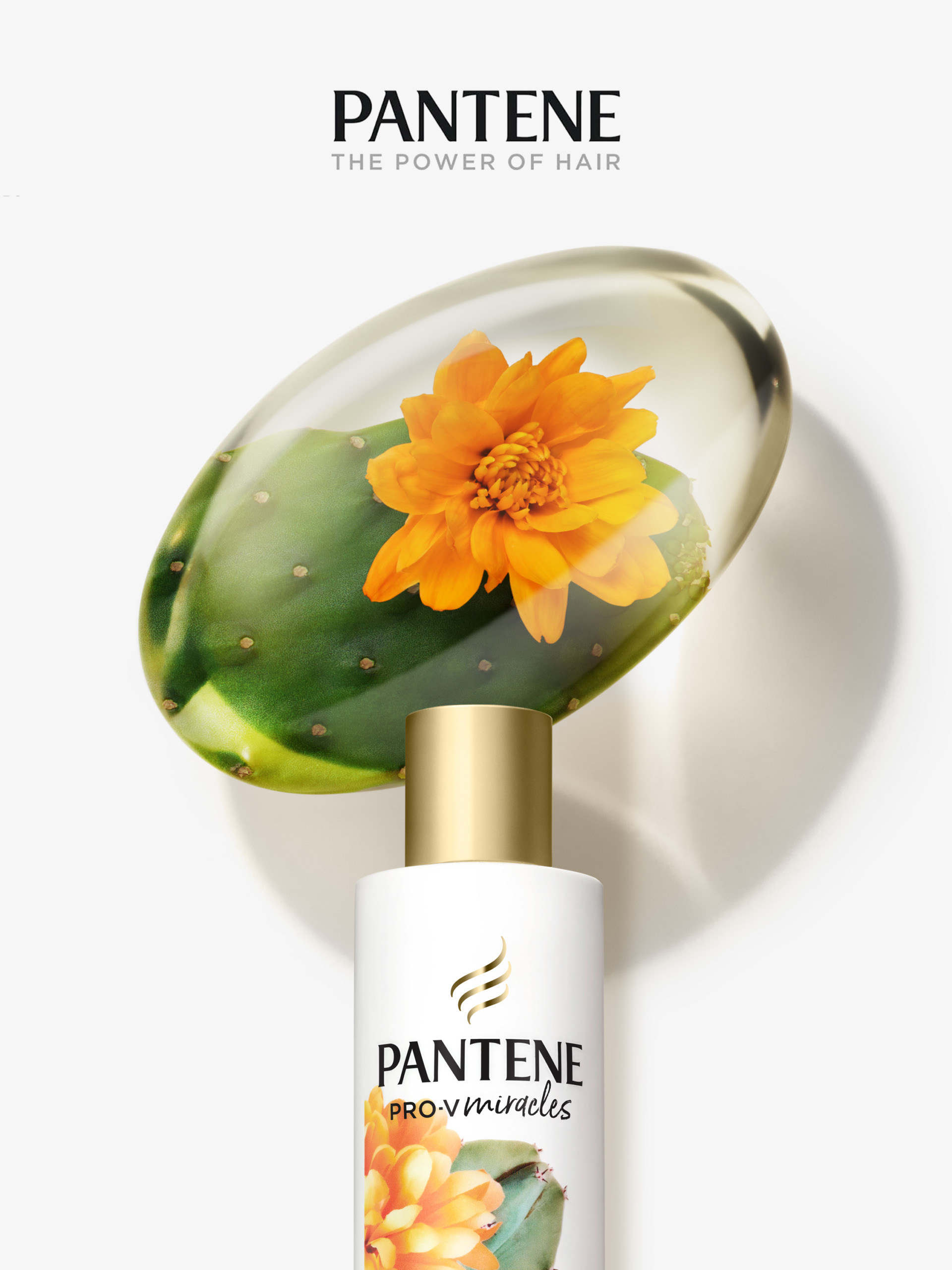 Pantene