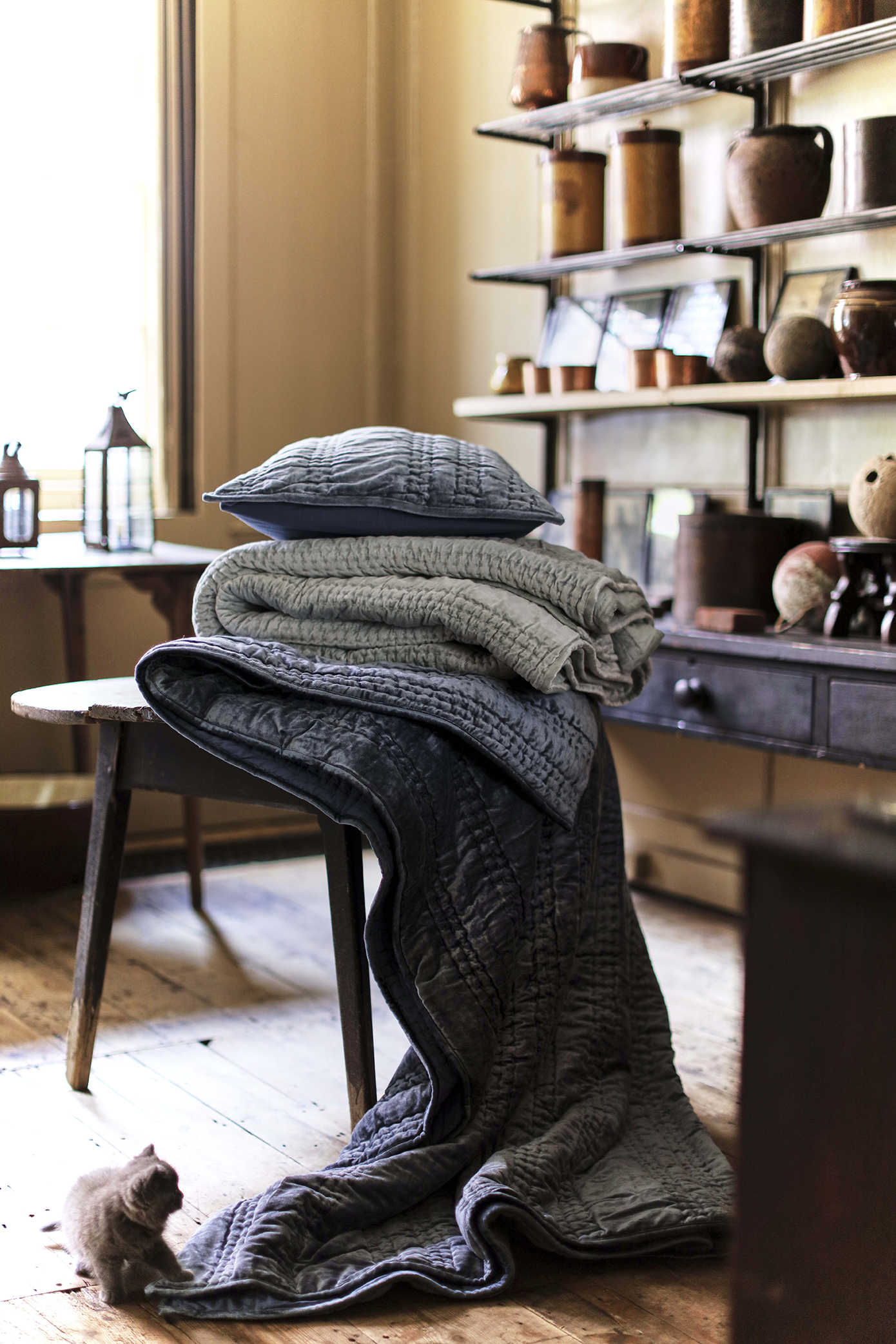Anthropologie