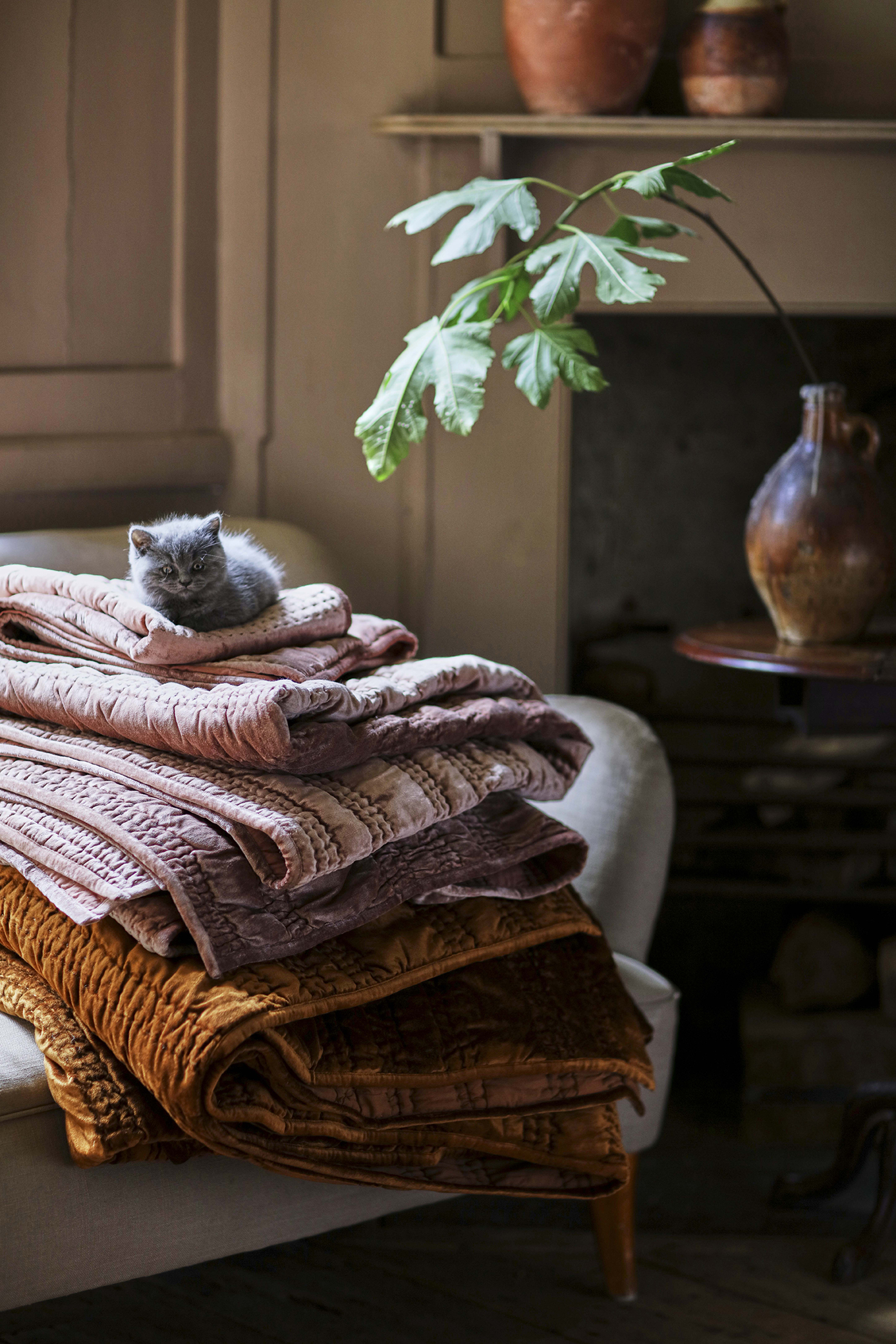 Anthropologie
