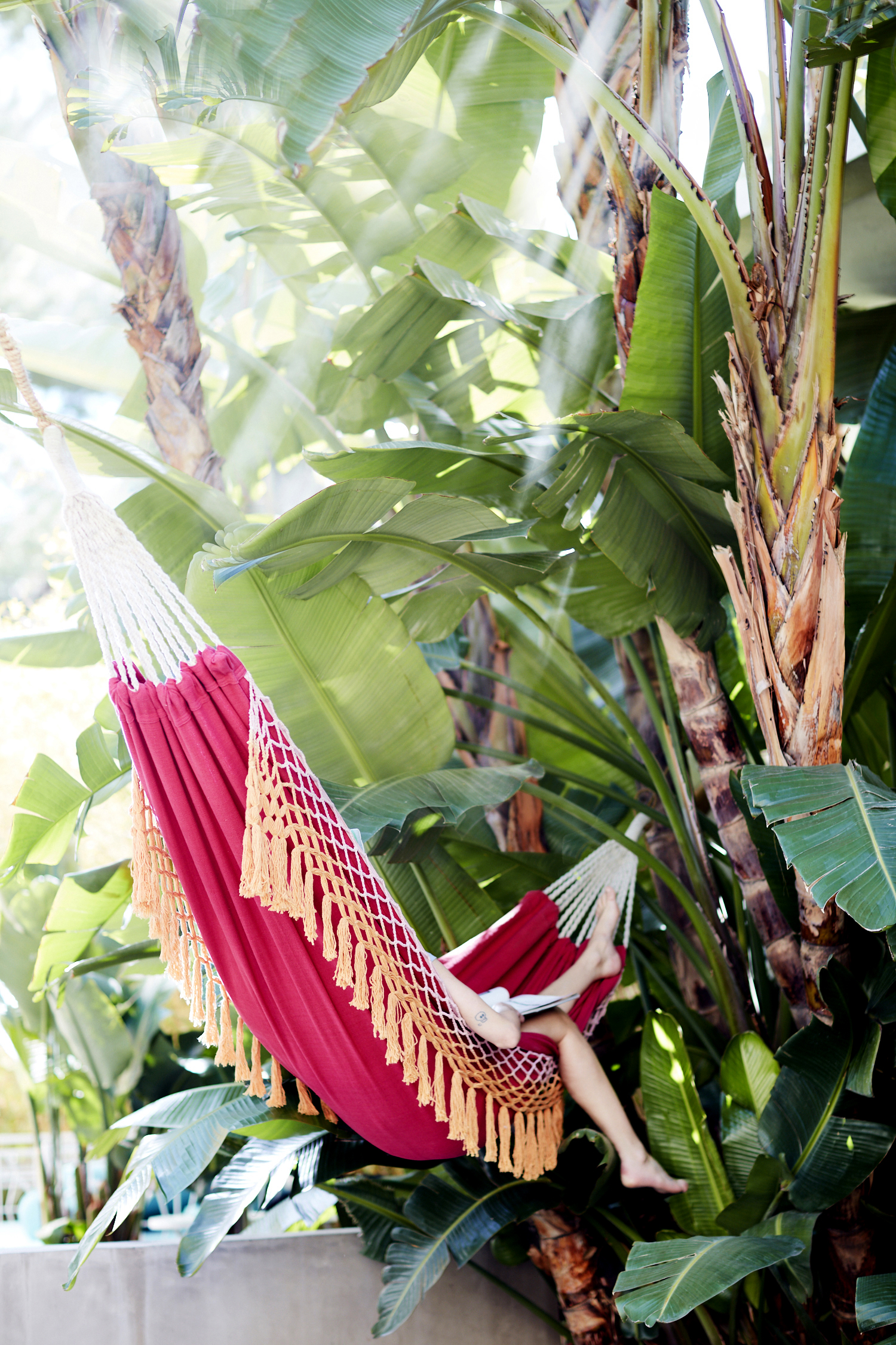 Anthropologie