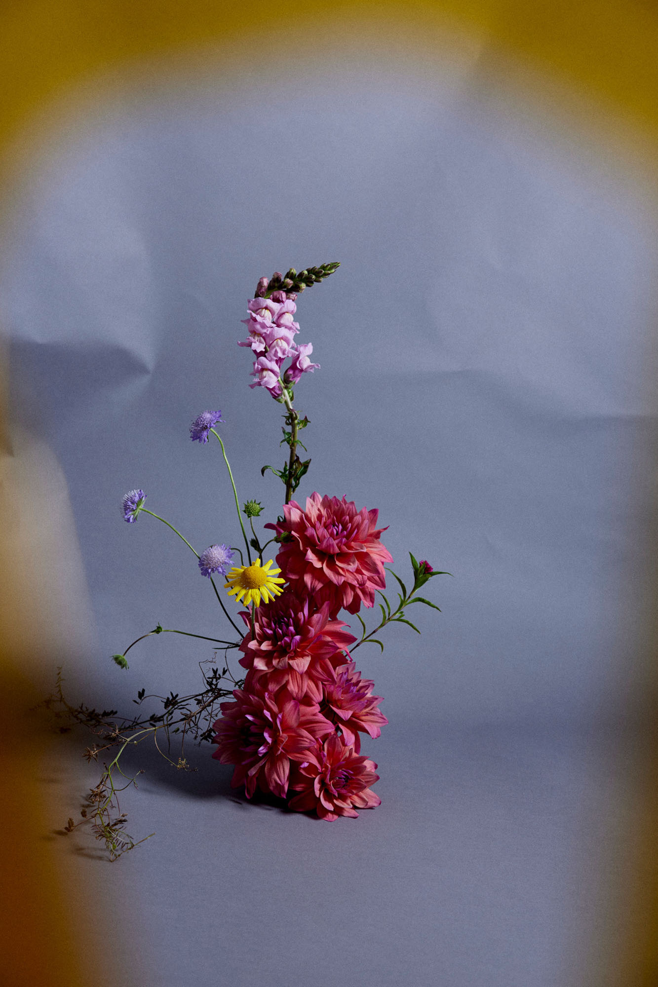 DOT Flower Studio