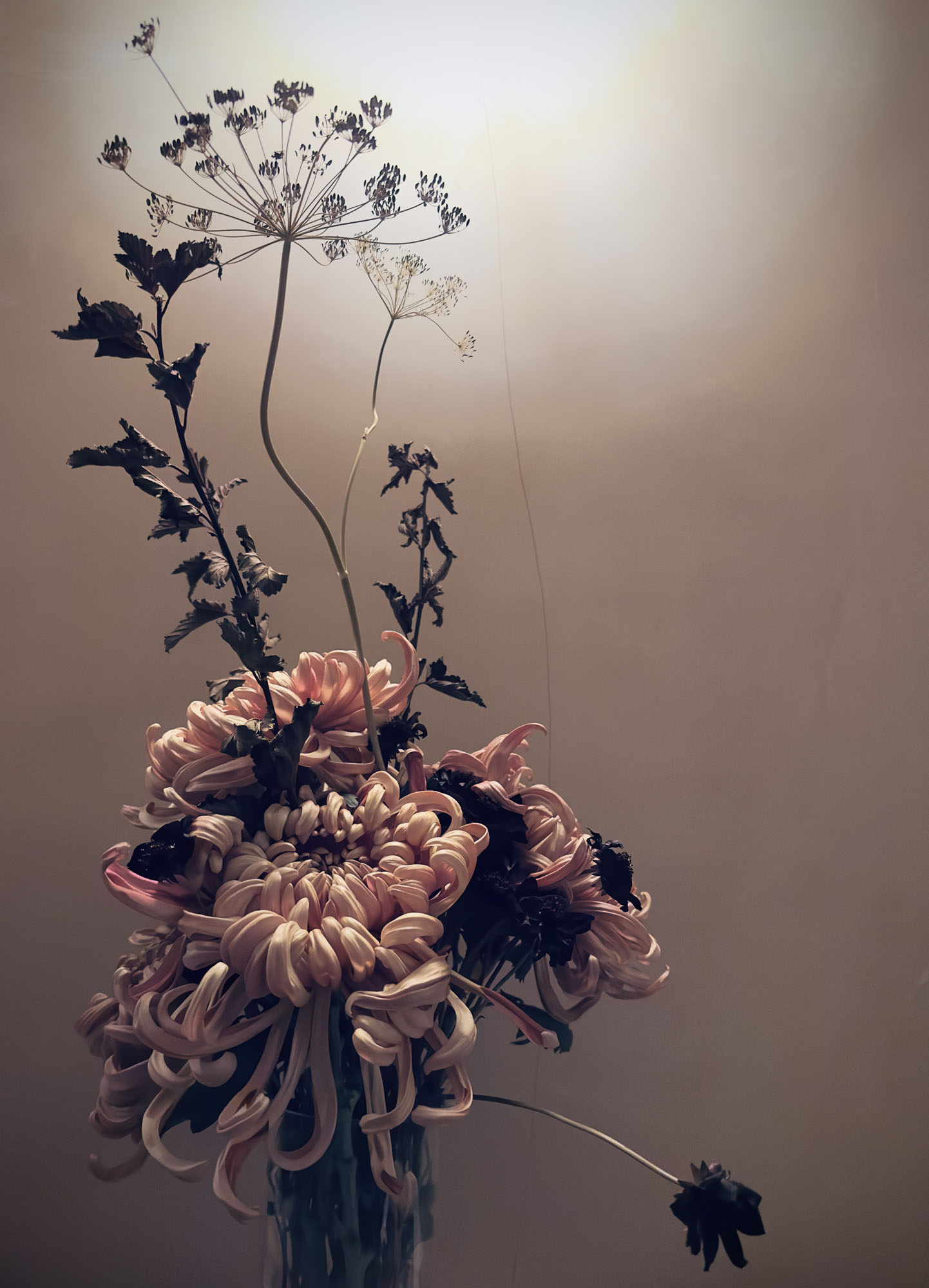 DOT Flower Studio