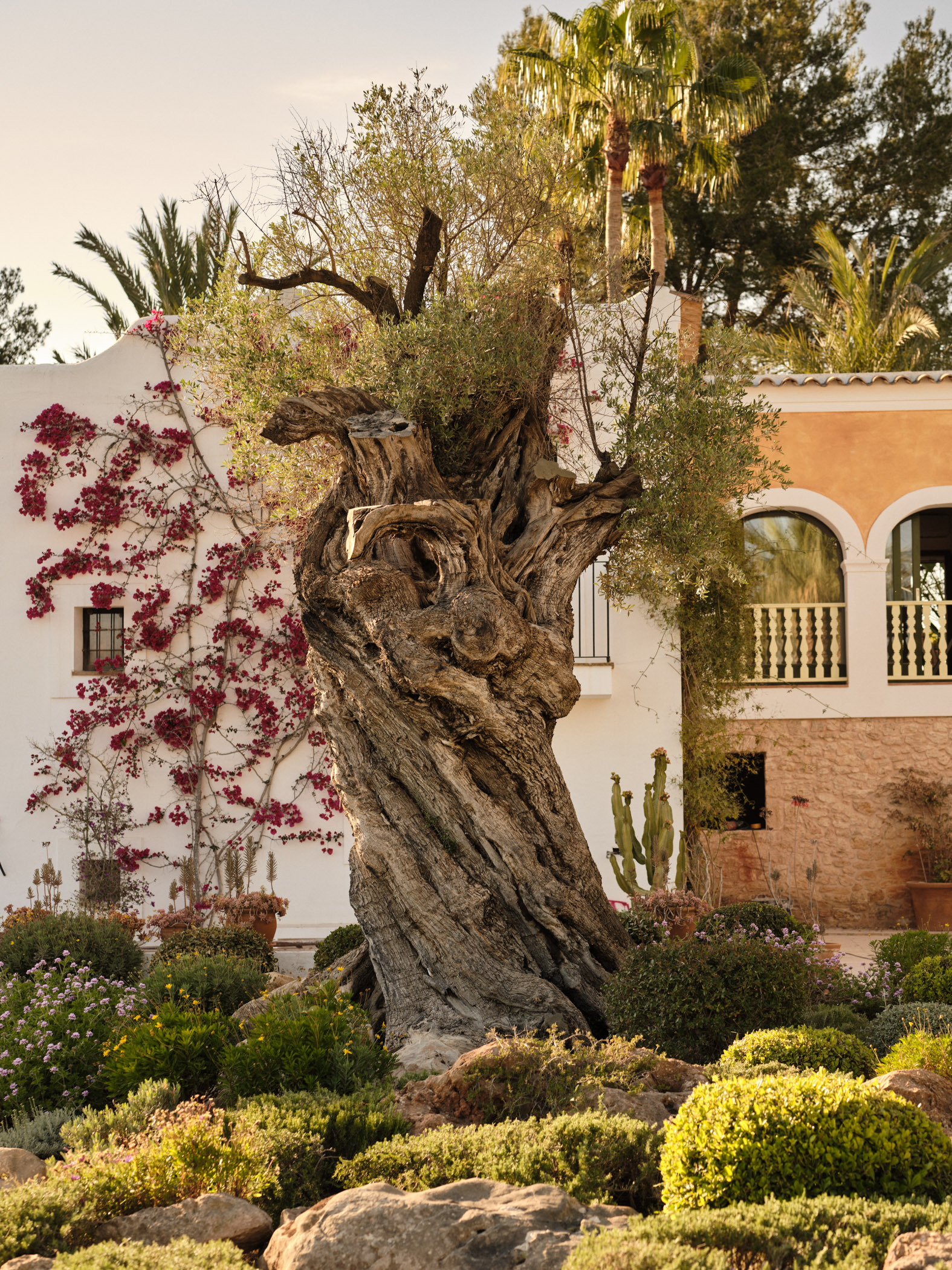 Soho Farmhouse | Ibiza