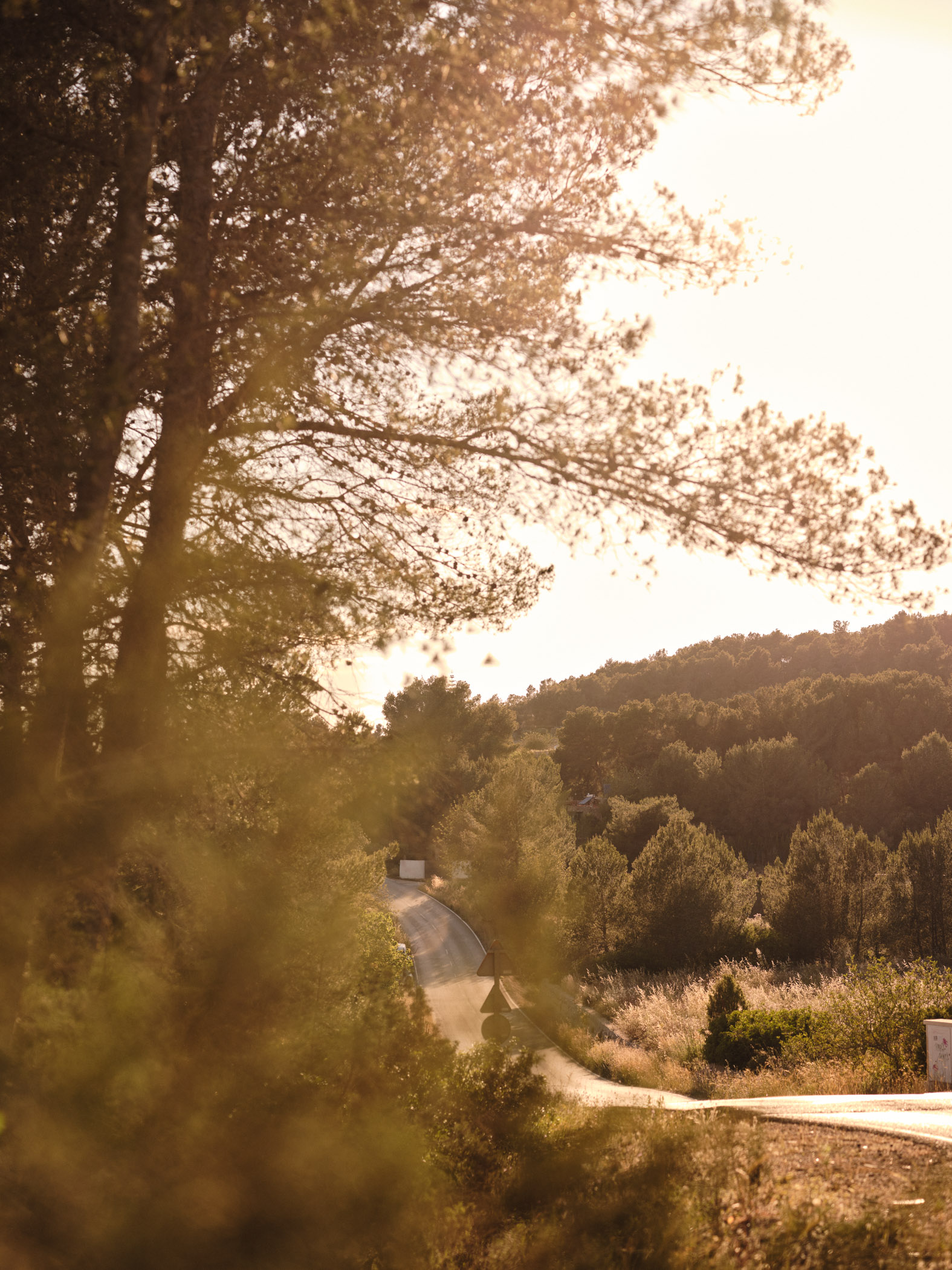 Soho Farmhouse | Ibiza