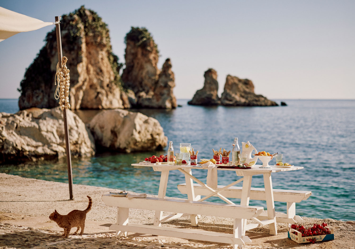 Anthropologie
