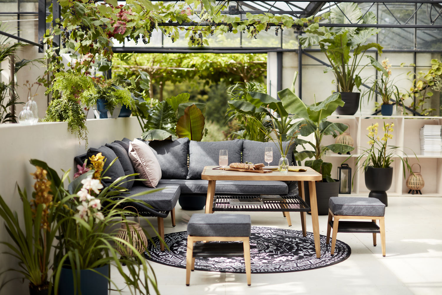 Dobbies | Back to Nature