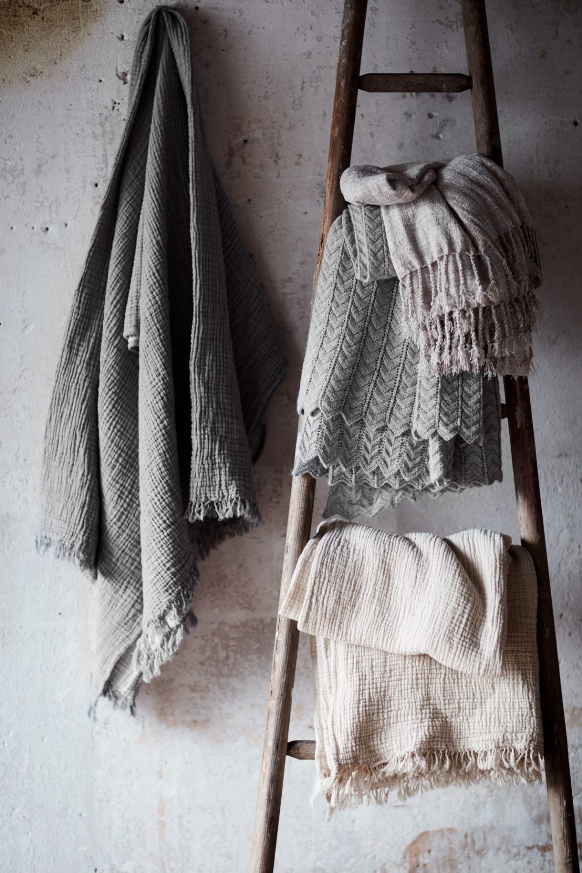 Anthropologie