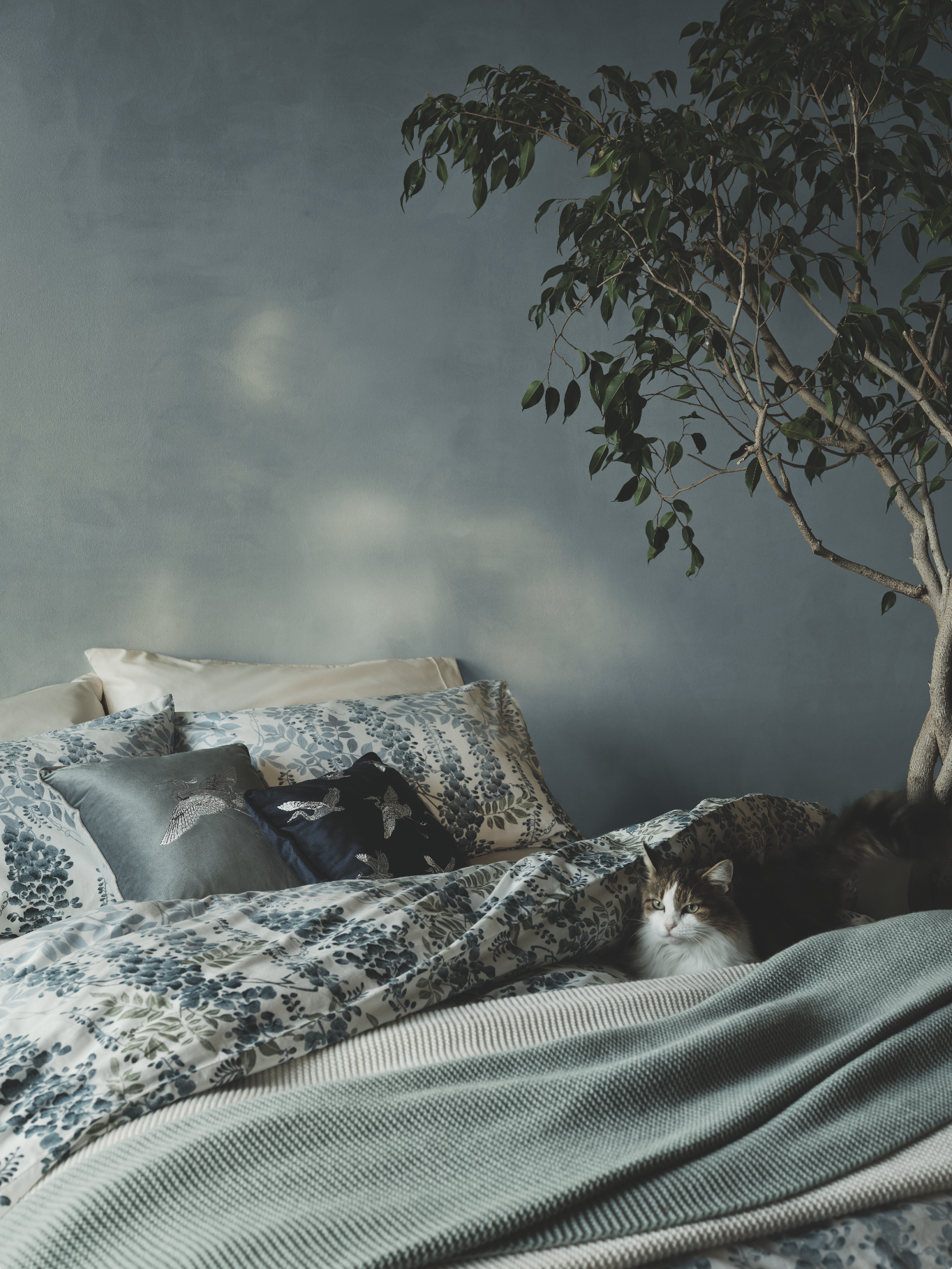 M&S | Contemporary Country